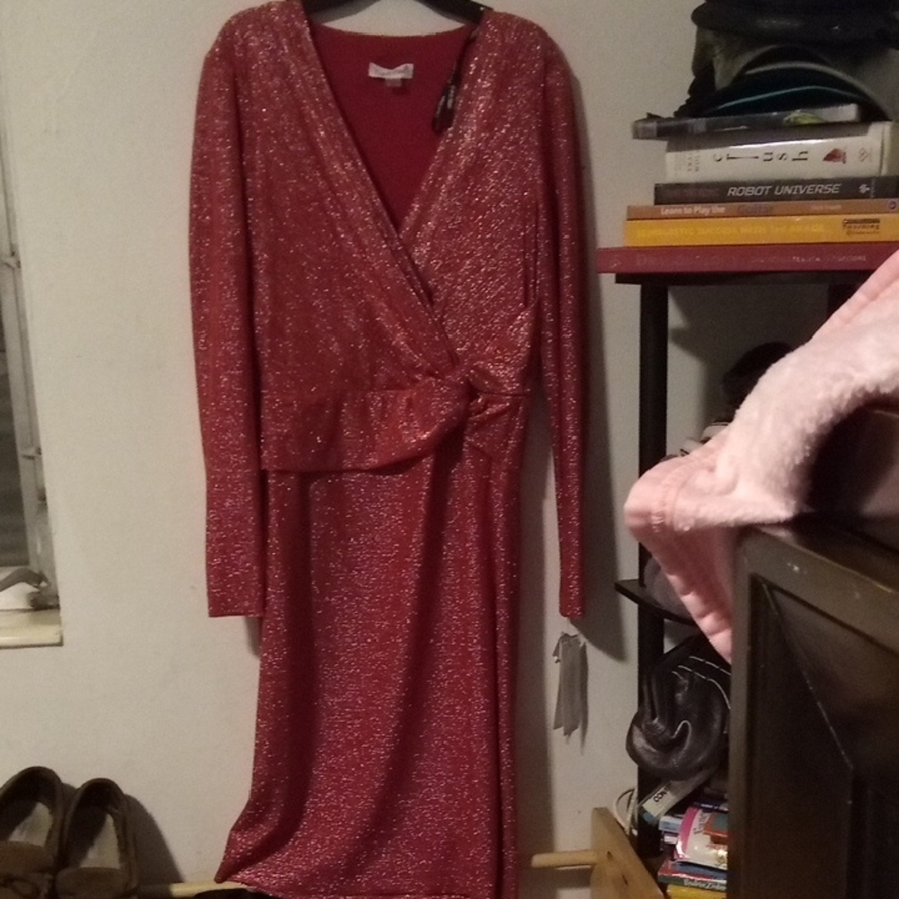 Calvin Klein Red Sparkly Long Sleeve Dress